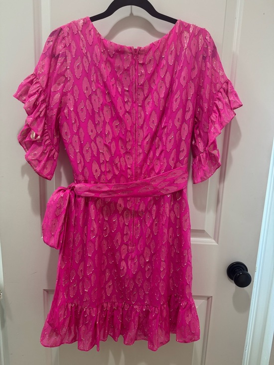 Lilly Pulitzer Darlah Silk Razberry Leopard Metallic Mini Dress - Picture 4 of 8